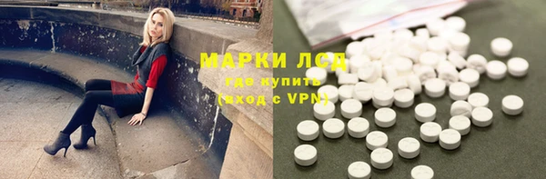 индика Бугульма
