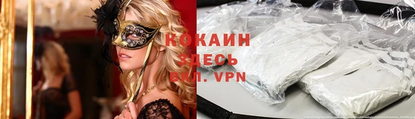 индика Бугульма
