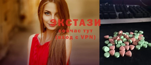 индика Бугульма