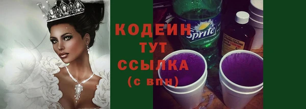 индика Бугульма