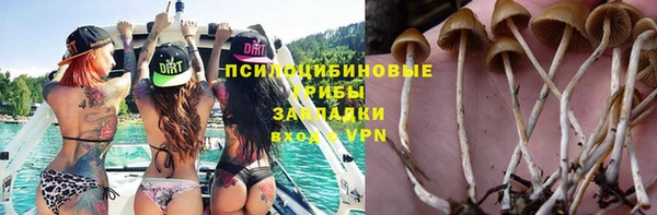 скорость mdpv Бородино