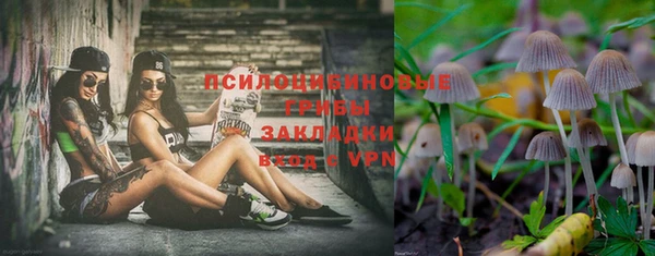 индика Бугульма
