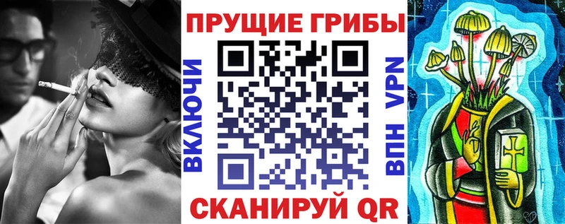 Купить  Майский  Псилоцибиновые грибы GOLDEN TEACHER 